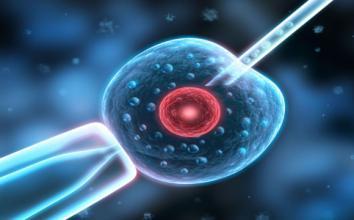 陈医生